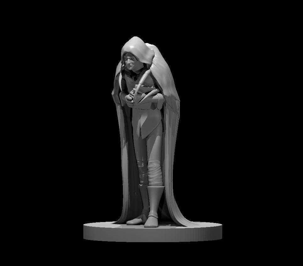 Shon and Gray miniature model for D&D - Dungeons and Dragons, Pathfinder and Tabletop RPGs