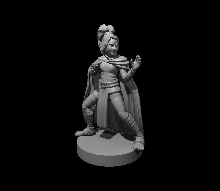 Gnome Monk Female Miniature