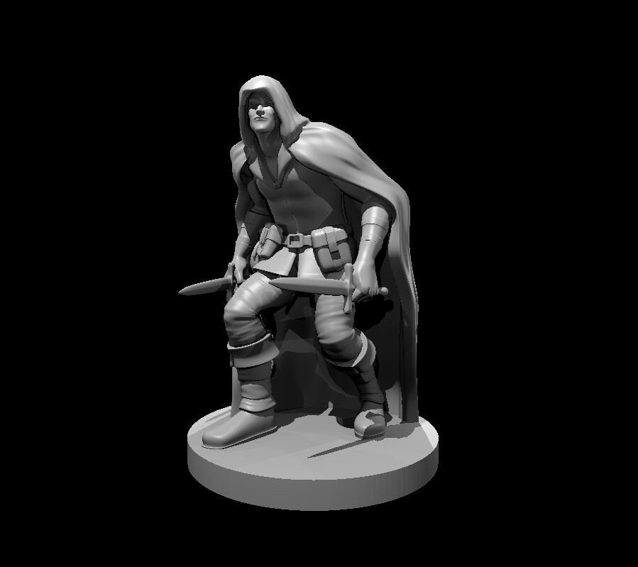 Rogue with Cloak and Daggers Miniature