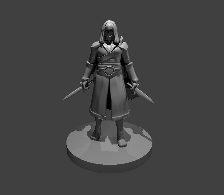 Rogue Assassin Miniature