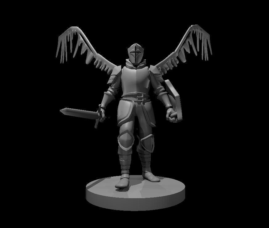 Fallen Aasimar Paladin Miniature