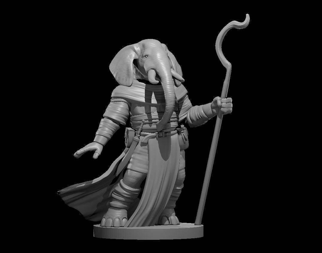 Loxodon Druid/ Wizard Miniature