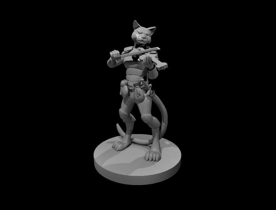 Tabaxi Bard with Violin Miniature