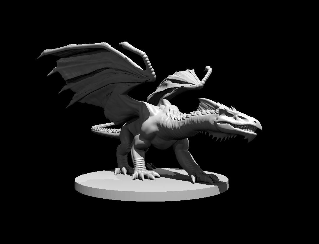 White Dragon Young miniature model for D&D - Dungeons and Dragons, Pathfinder and Tabletop RPGs