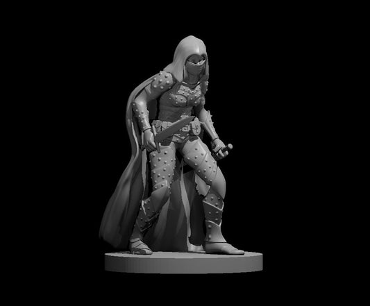 Assassin Female miniature model for D&D - Dungeons and Dragons, Pathfinder and Tabletop RPGs