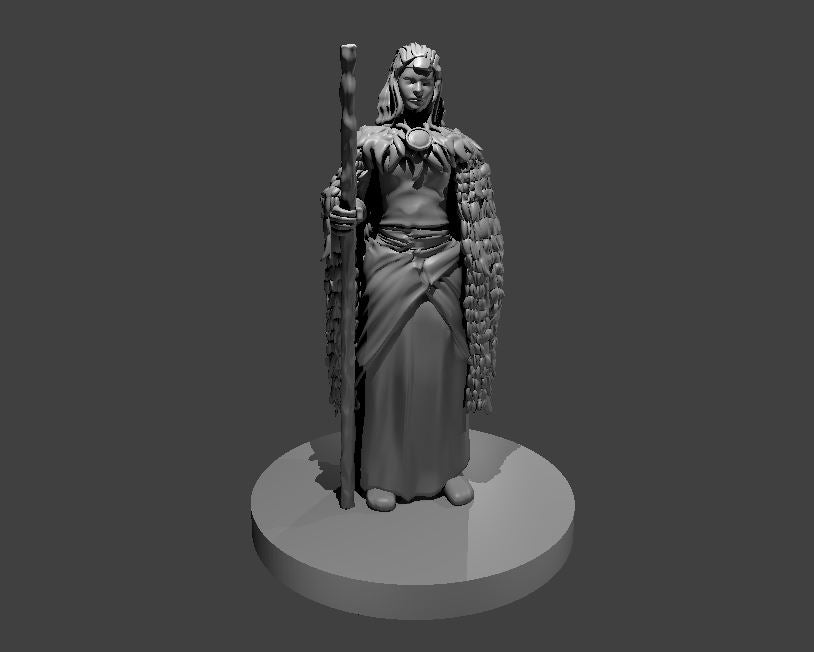 Mwaxanare miniature model for D&D - Dungeons and Dragons, Pathfinder and Tabletop RPGs