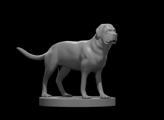 Mastiff miniature model for D&D - Dungeons and Dragons, Pathfinder and Tabletop RPGs