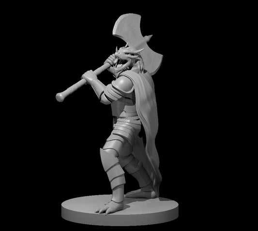 Dragonborn of Tiamat miniature model for D&D - Dungeons and Dragons, Pathfinder and Tabletop RPGs