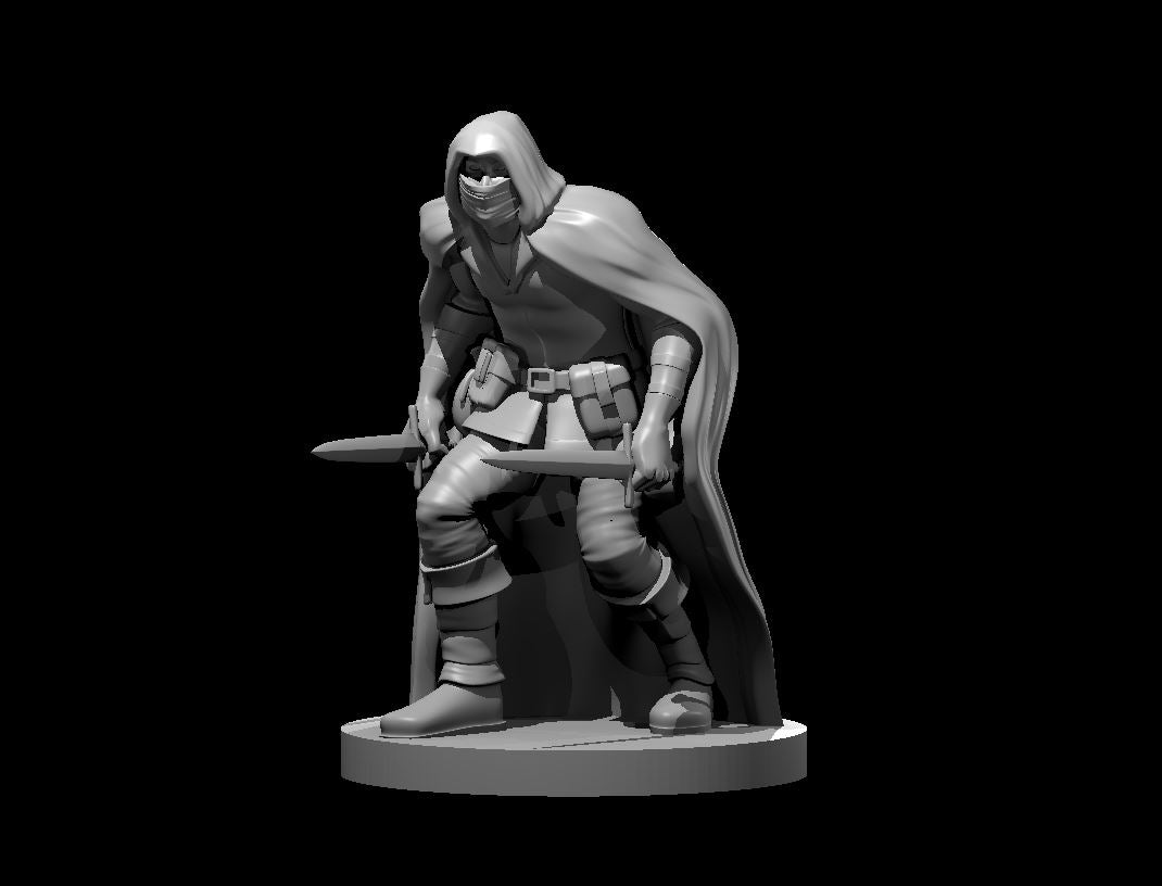 Assassin Male miniature model for D&D - Dungeons and Dragons, Pathfinder and Tabletop RPGs