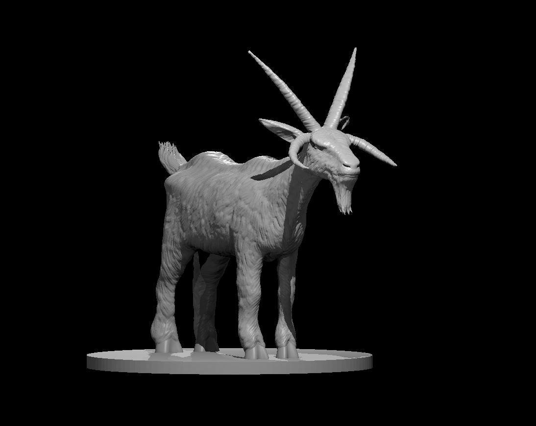 Giant Goat miniature model for D&D - Dungeons and Dragons, Pathfinder and Tabletop RPGs