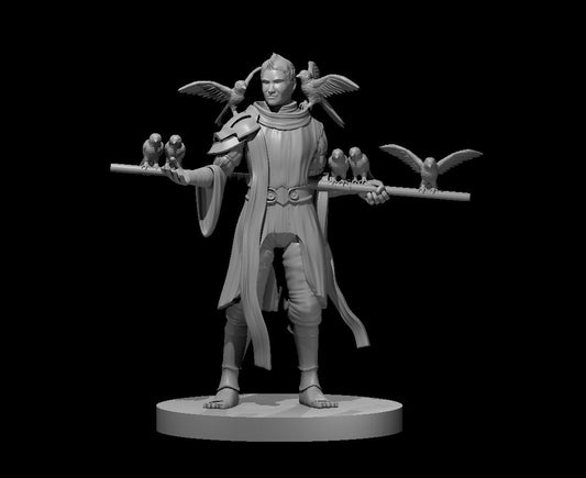 Young Man with the Canaries miniature model for D&D - Dungeons and Dragons, Pathfinder and Tabletop RPGs