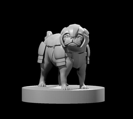 Pug in Armor miniature model for D&D - Dungeons and Dragons, Pathfinder and Tabletop RPGs