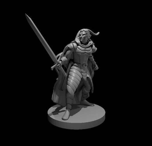 Eladrin Male Melee miniature model for D&D - Dungeons and Dragons, Pathfinder and Tabletop RPGs