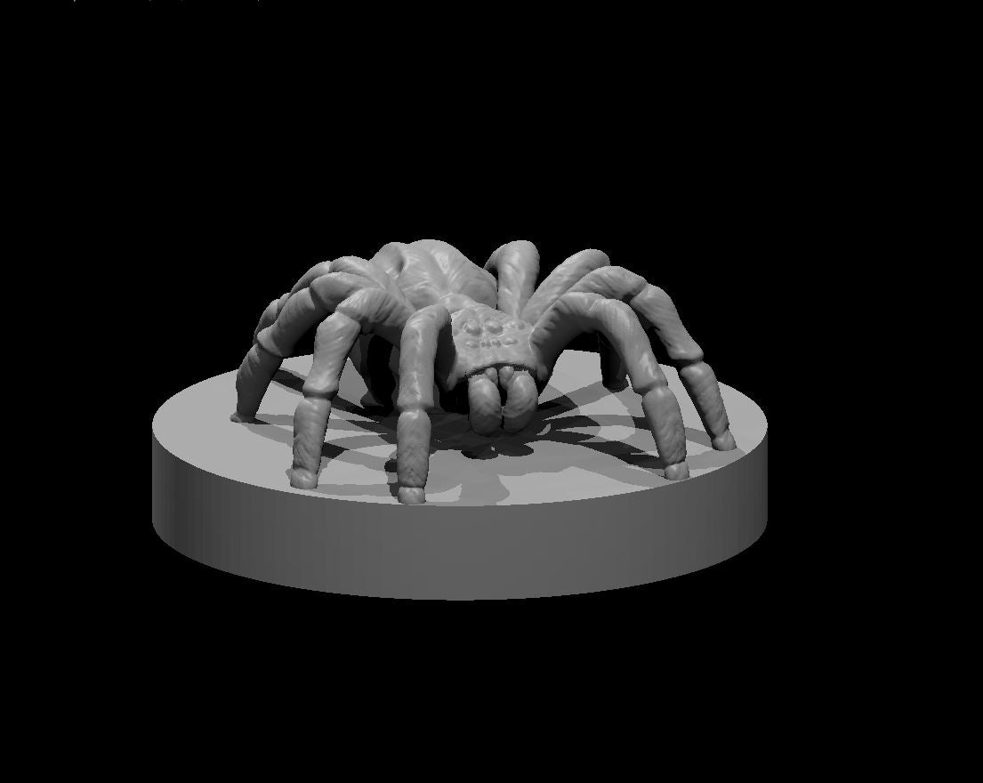 Spider miniature model for D&D - Dungeons and Dragons, Pathfinder and Tabletop RPGs