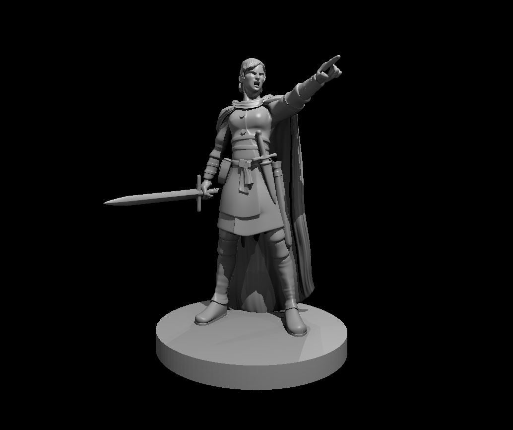 Rilsa Rael miniature model for D&D - Dungeons and Dragons, Pathfinder and Tabletop RPGs