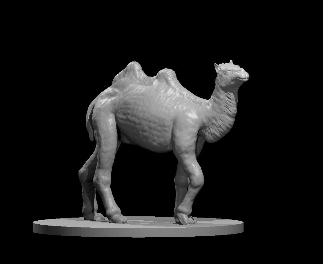 Camel miniature model for D&D - Dungeons and Dragons, Pathfinder and Tabletop RPGs