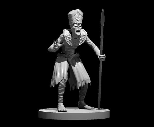 Mummy Lord miniature model for D&D - Dungeons and Dragons, Pathfinder and Tabletop RPGs