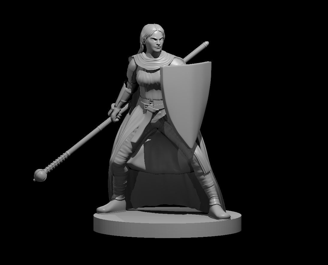 Mercion miniature model for D&D - Dungeons and Dragons, Pathfinder and Tabletop RPGs