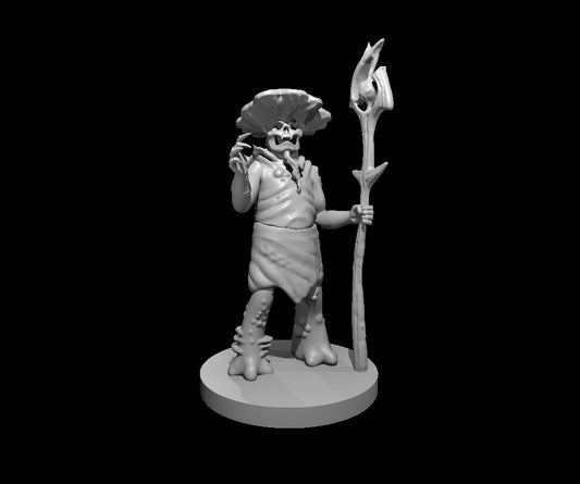 Fungal Lich miniature model for D&D - Dungeons and Dragons, Pathfinder and Tabletop RPGs