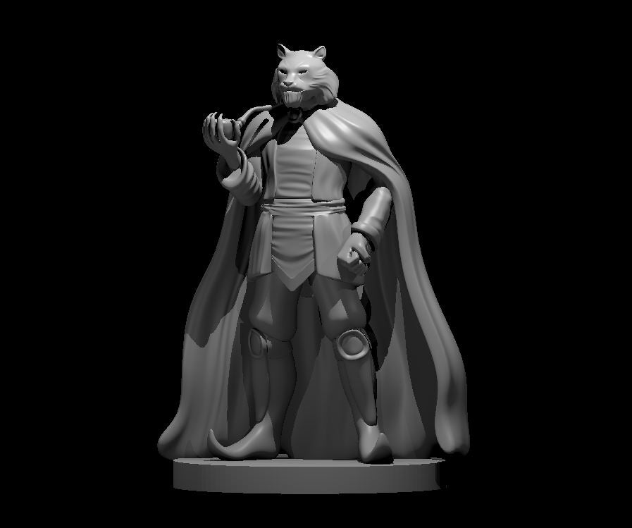 Rakshasa miniature model for D&D - Dungeons and Dragons, Pathfinder and Tabletop RPGs