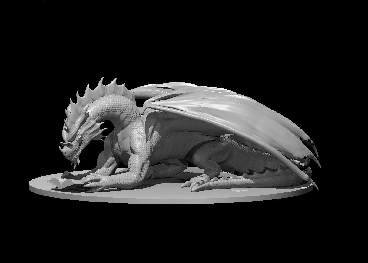 Red Dragon Reading a Book miniature model for D&D - Dungeons and Dragons, Pathfinder and Tabletop RPGs