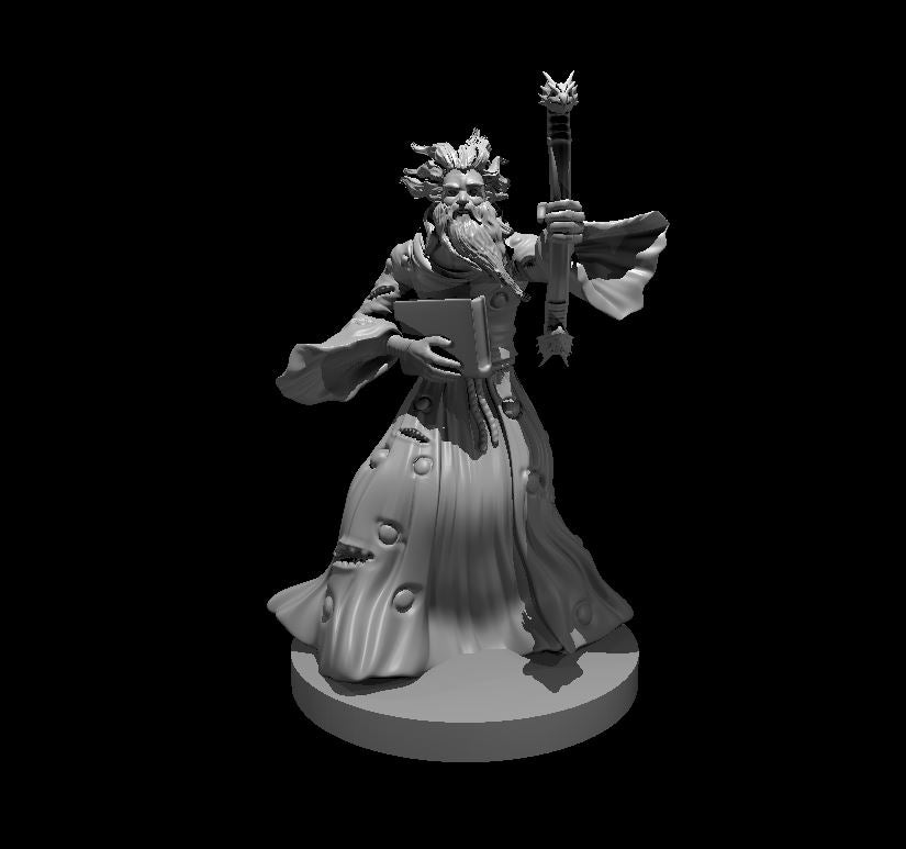 Halaster miniature model for D&D - Dungeons and Dragons, Pathfinder and Tabletop RPGs