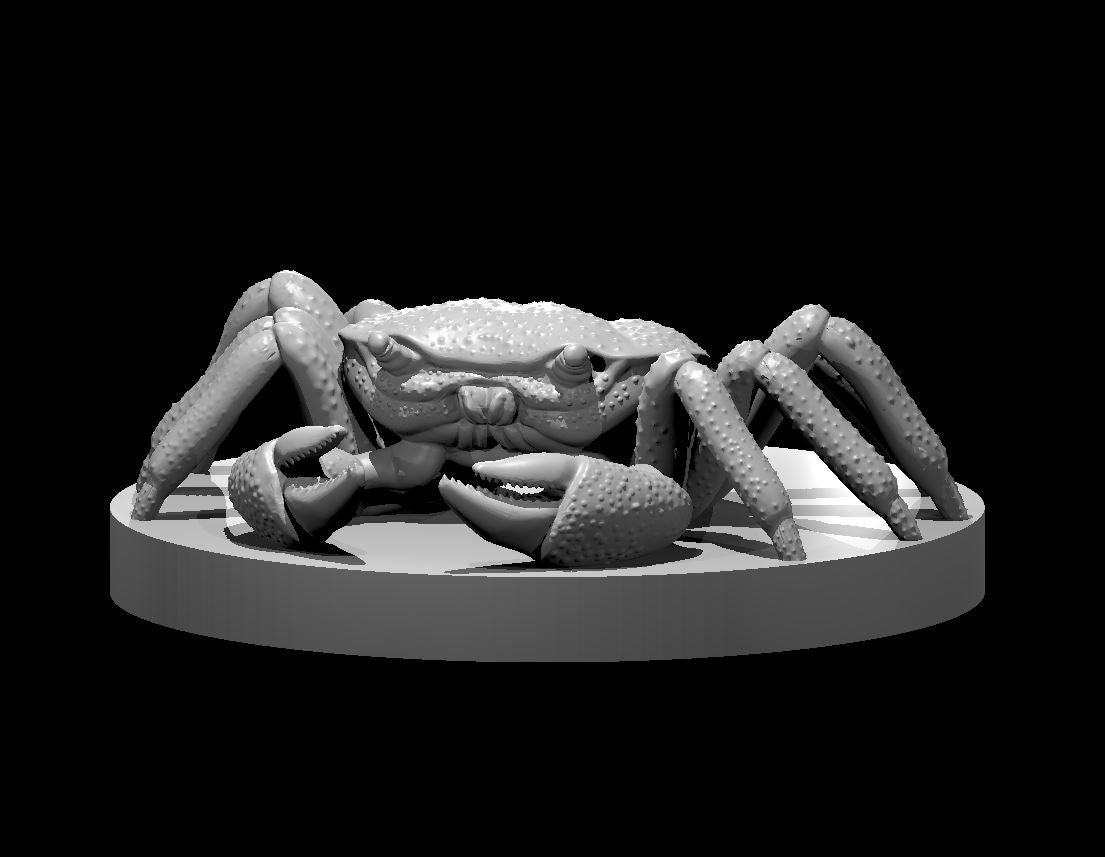 Giant Crab miniature model for D&D - Dungeons and Dragons, Pathfinder and Tabletop RPGs