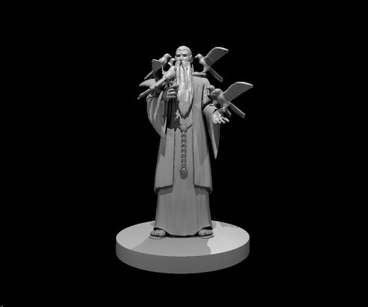 Old Man with the Canaries miniature model for D&D - Dungeons and Dragons, Pathfinder and Tabletop RPGs