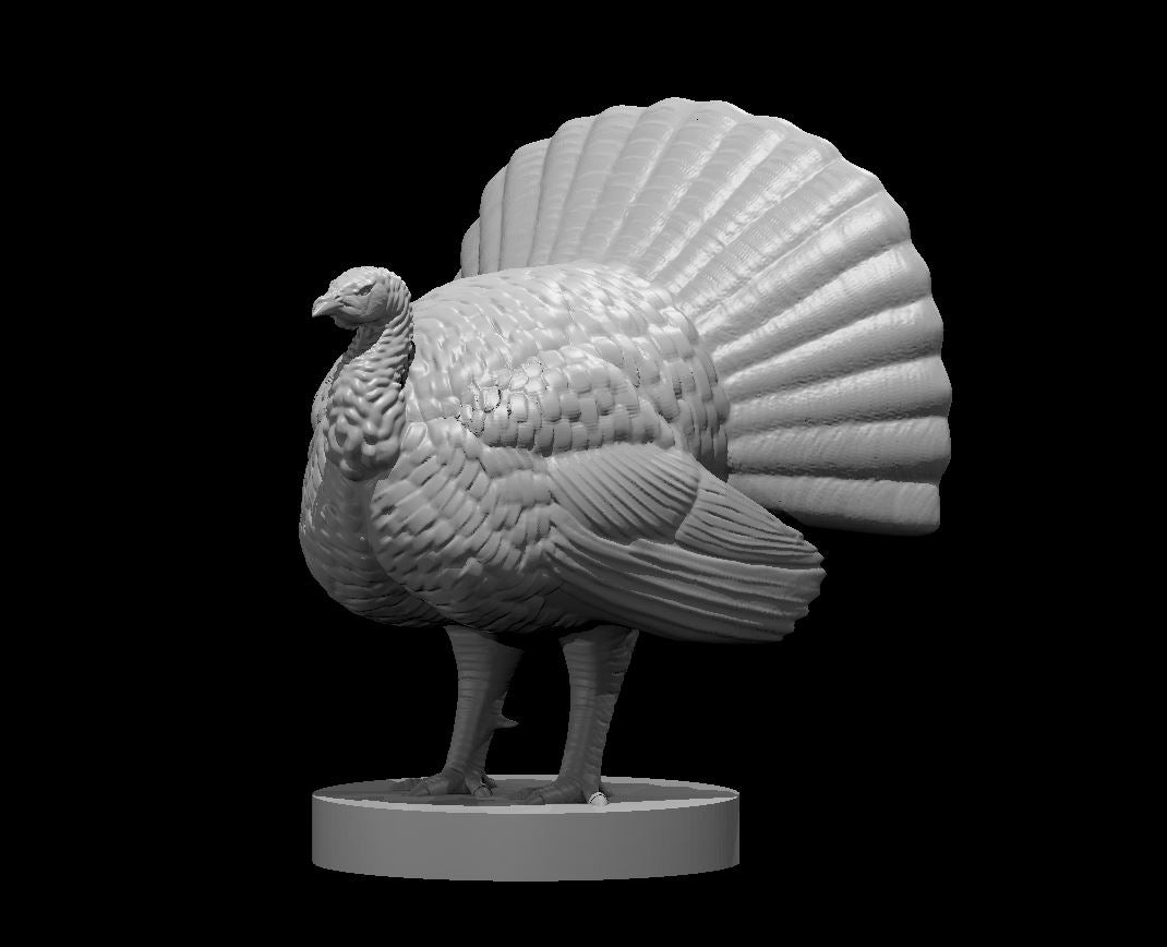 Turkey miniature model for D&D - Dungeons and Dragons, Pathfinder and Tabletop RPGs