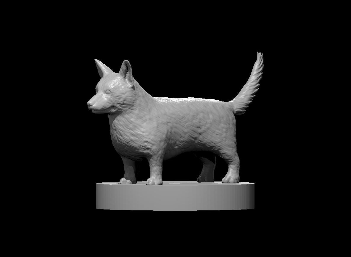 Corgi miniature model for D&D - Dungeons and Dragons, Pathfinder and Tabletop RPGs