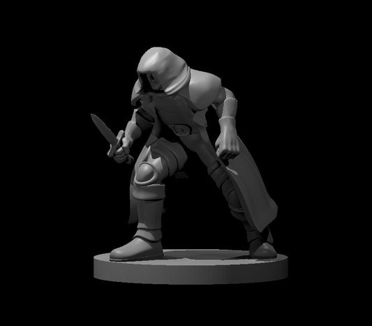 Night Blade miniature model for D&D - Dungeons and Dragons, Pathfinder and Tabletop RPGs