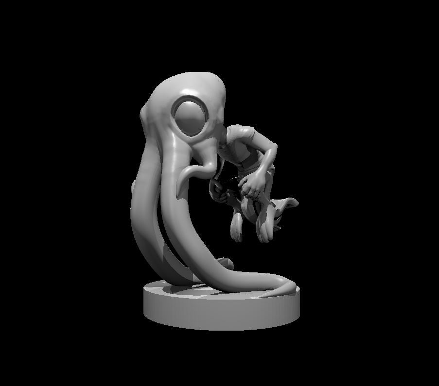 Gnome Squidling miniature model for D&D - Dungeons and Dragons, Pathfinder and Tabletop RPGs