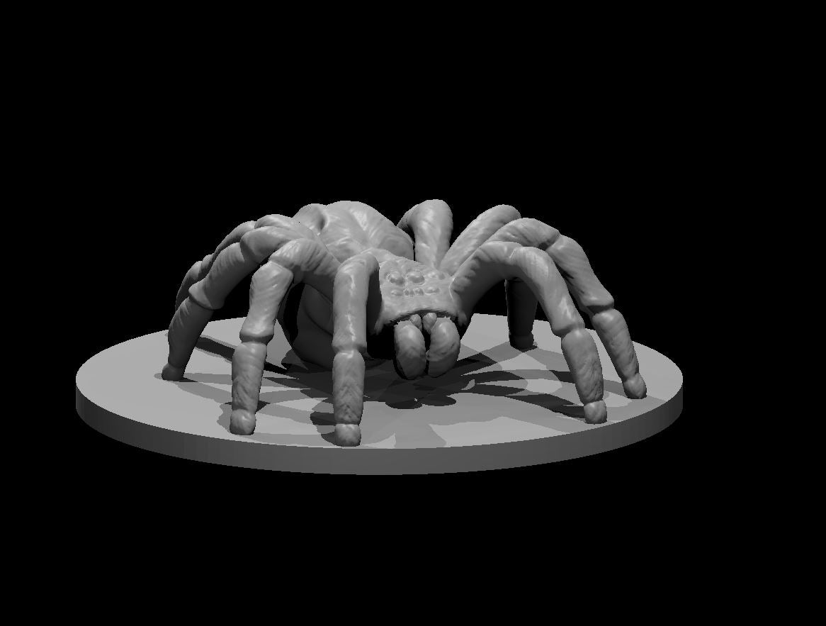 Giant Spider miniature model for D&D - Dungeons and Dragons, Pathfinder and Tabletop RPGs