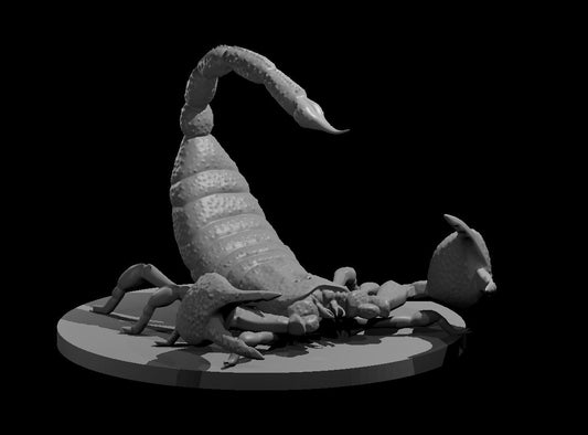 Giant Scorpion miniature model for D&D - Dungeons and Dragons, Pathfinder and Tabletop RPGs