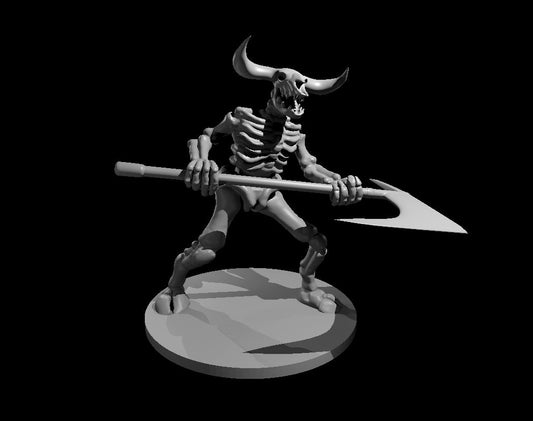 Skeleton Minotaur miniature model for D&D - Dungeons and Dragons, Pathfinder and Tabletop RPGs