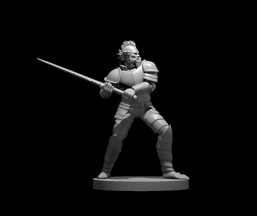 Vladimir Horngaard miniature model for D&D - Dungeons and Dragons, Pathfinder and Tabletop RPGs