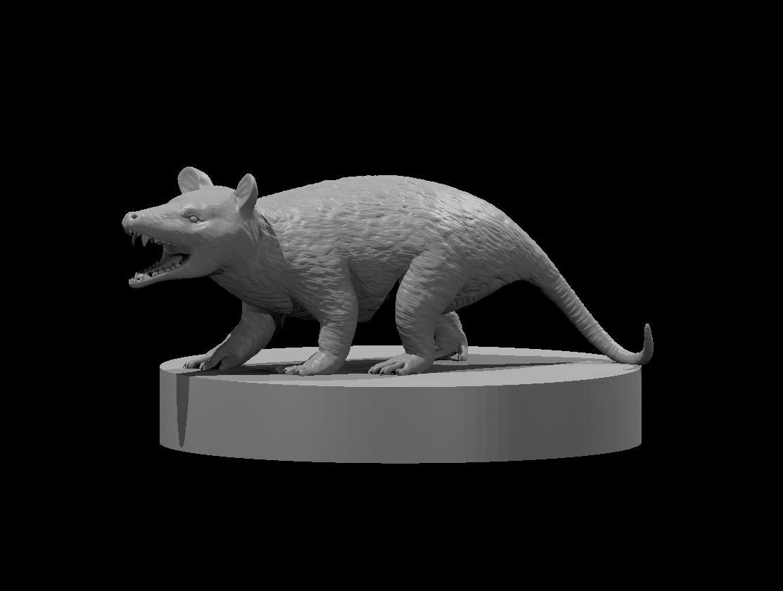 Opossum miniature model for D&D - Dungeons and Dragons, Pathfinder and Tabletop RPGs