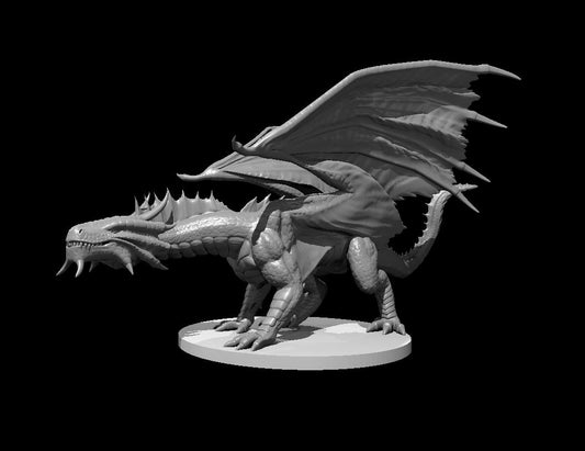 Young Bronze Dragon miniature model for D&D - Dungeons and Dragons, Pathfinder and Tabletop RPGs