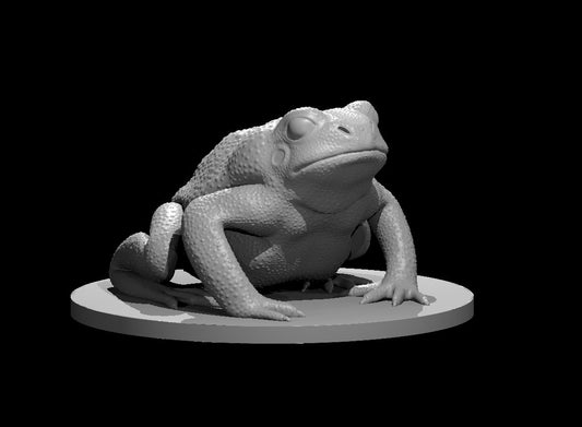 Giant Toad miniature model for D&D - Dungeons and Dragons, Pathfinder and Tabletop RPGs