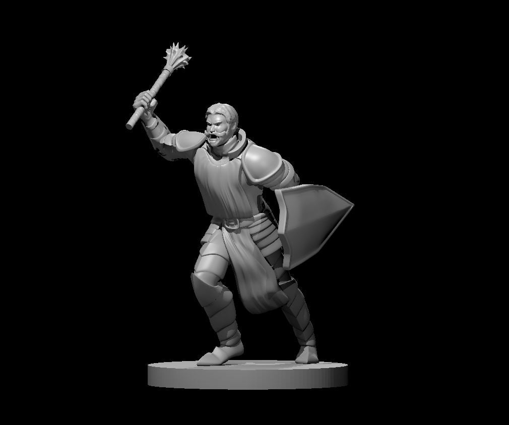 Priest Male miniature model for D&D - Dungeons and Dragons, Pathfinder and Tabletop RPGs