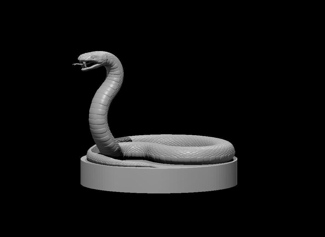 Poisonous Snake miniature model for D&D - Dungeons and Dragons, Pathfinder and Tabletop RPGs