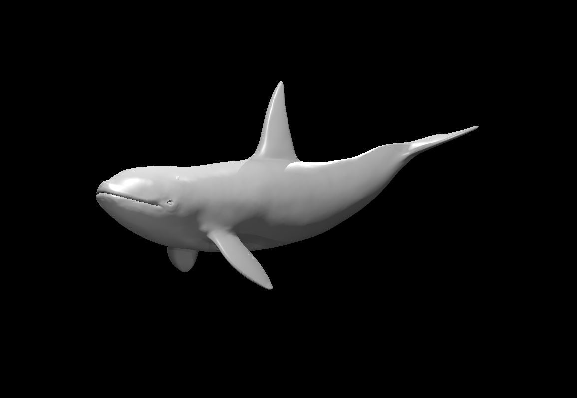 Killer Whale miniature model for D&D - Dungeons and Dragons, Pathfinder and Tabletop RPGs