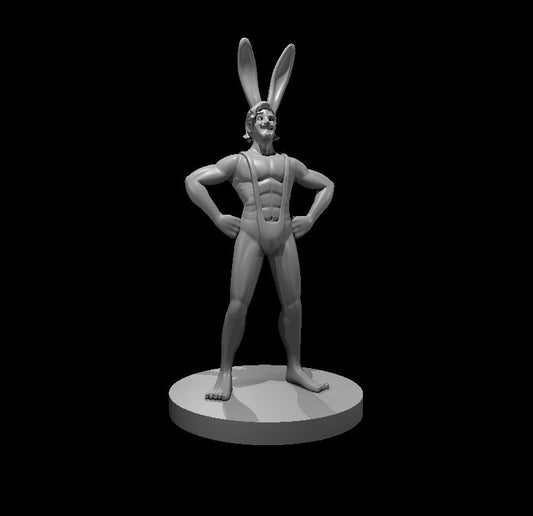 Bunny Viari miniature model for D&D - Dungeons and Dragons, Pathfinder and Tabletop RPGs