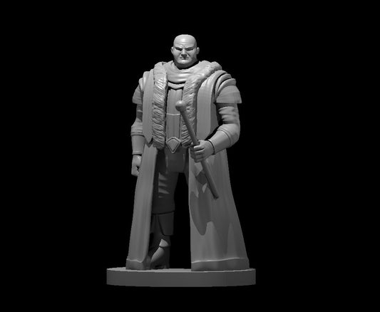 Noble miniature model for D&D - Dungeons and Dragons, Pathfinder and Tabletop RPGs