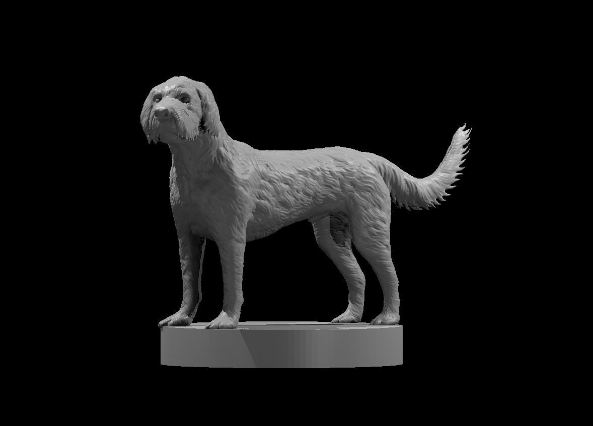 Labradoodle Cockapoo Mix miniature model for D&D - Dungeons and Dragons, Pathfinder and Tabletop RPGs