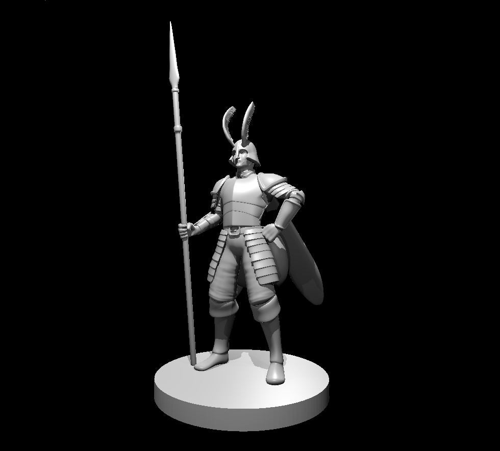 Thirae Queen Guard miniature model for D&D - Dungeons and Dragons, Pathfinder and Tabletop RPGs