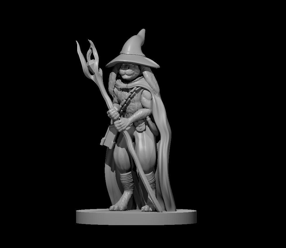 Harengon Rabbit Folk Wizard Miniature