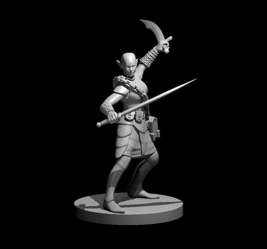 Elf Wizard/ Warlock/ Fighter Miniature