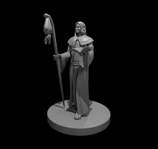 Female Wizard with Bat Familiar Miniature