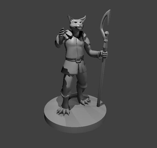 Tabaxi Sorcerer/ Wizard Miniature Female